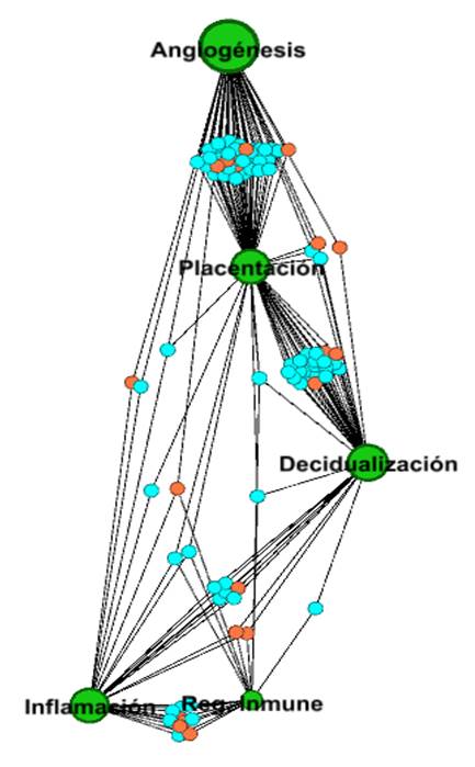 Gráfico, Gráfico radial

Descripción generada automáticamente