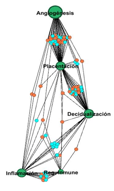 Gráfico, Gráfico radial

Descripción generada automáticamente